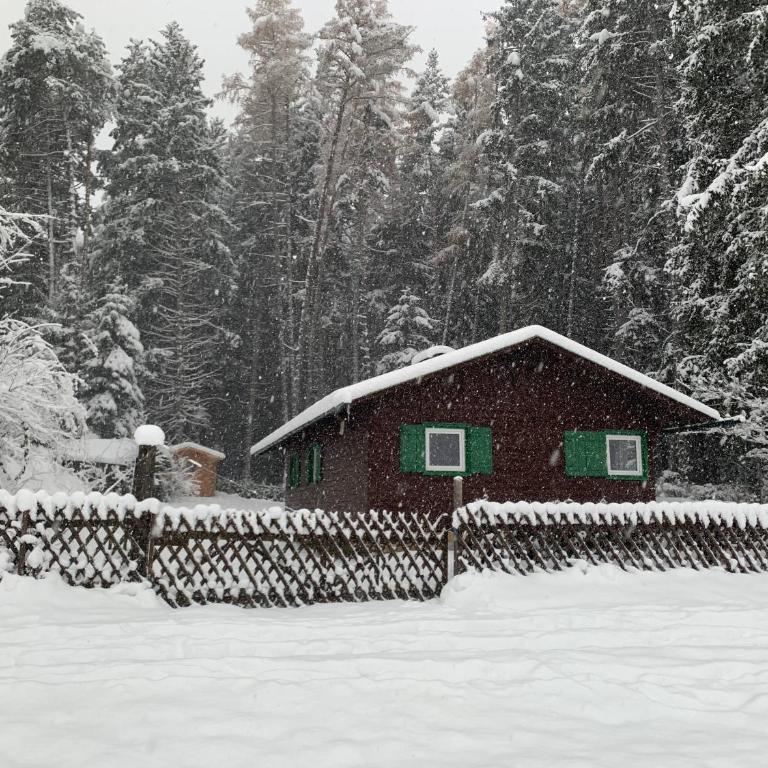 Waldchalet am Eichhof - Two-Bedroom Chalet - 19
