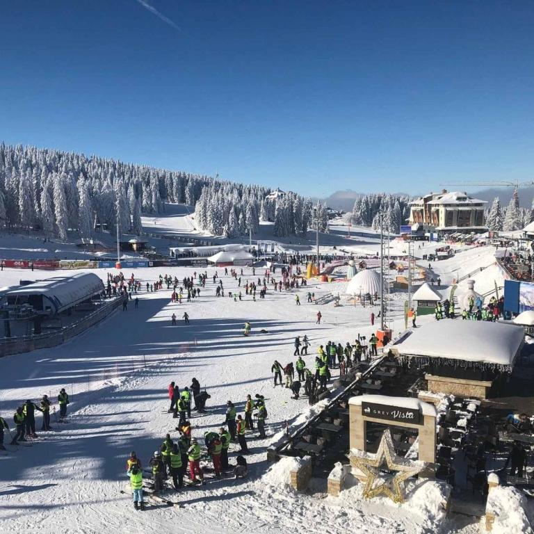 Apartman DADA, KOPAONIK Centar - Apartman sa 1 Spavaćom Sobom - 11