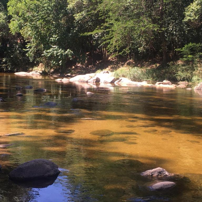 Cabañas Suave Remanso - Apartamento de 1 dormitorio - 10