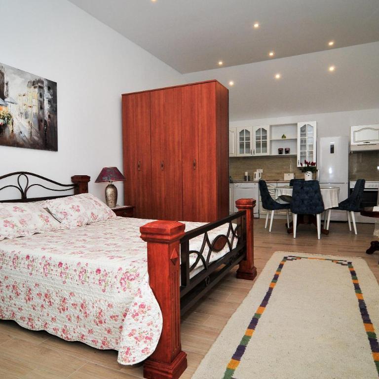 Apartments Villa Stankovic - Studio s King-sajz Krevetom i Sofom na Izvlačenje - 1