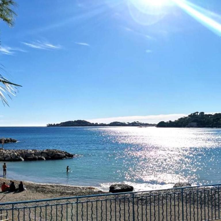 Studette "La Fourmi" proche centre et plage - Studio - 2