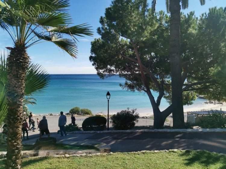 Studette "La Fourmi" proche centre et plage - Studio - 14