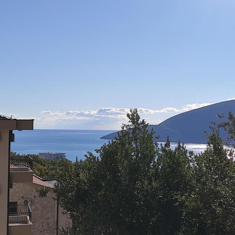 Forest Stream - One-Bedroom Apartment - 5