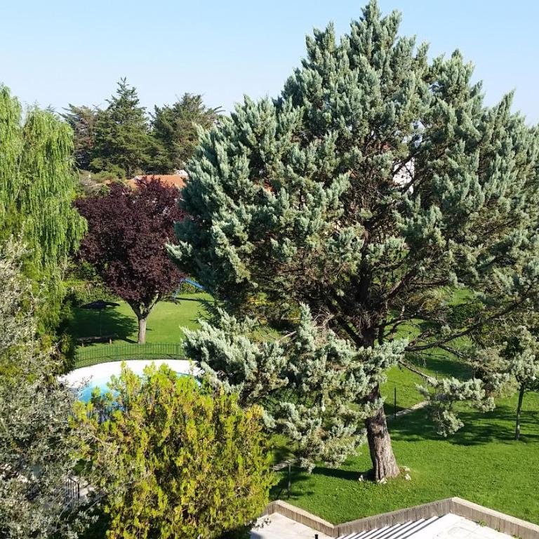 Apartamentos Baños de Ledesma - Two-Bedroom Apartment - 62