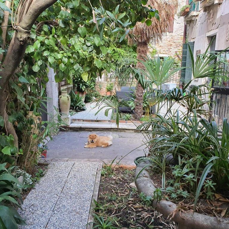 Residenza oleandro rosa - Appartamento con 1 Camera da Letto - 15