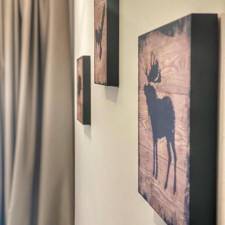 Silver Kop apartmani - One-Bedroom Apartment - 11