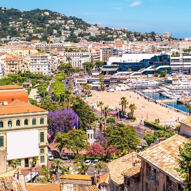 Cannes beach and Festival Palais - Appartement 1 Chambre - 46