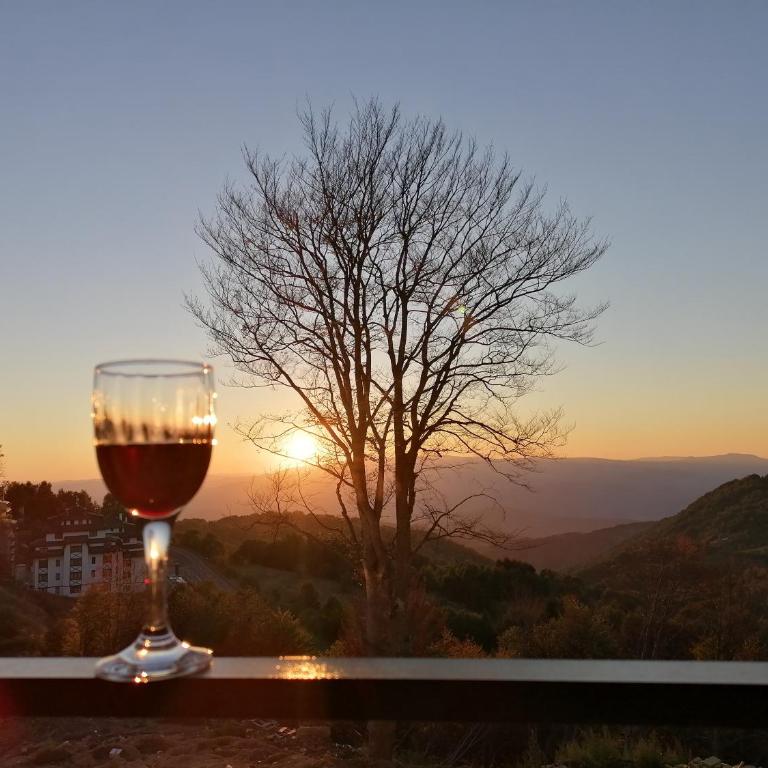 Ivkovic spa Milmari N16 - Studio s King-sajz Krevetom i Sofom na Izvlačenje - 10