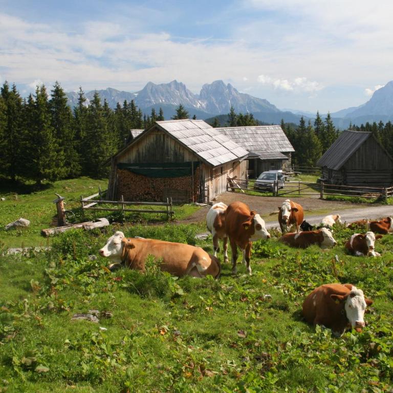 Ferienhaus Alte Mühle Hohentauern - Haus mit 3 Schlafzimmern - 32