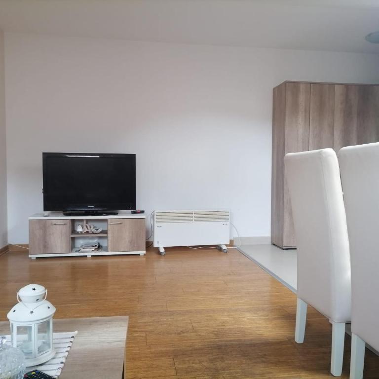 Apartman Savic - Apartman sa 1 Spavaćom Sobom - 4
