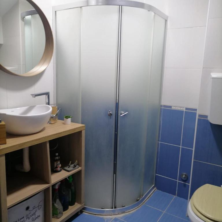 Apartman Savic - Apartman sa 1 Spavaćom Sobom - 11