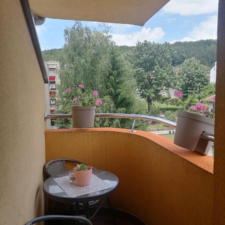 Apartman Savic - Apartman sa 1 Spavaćom Sobom - 2