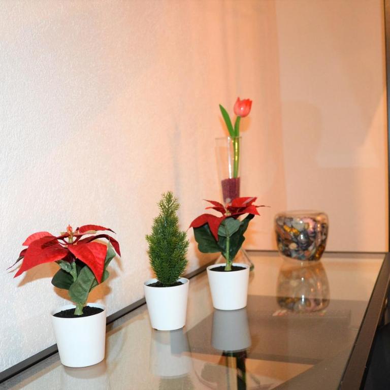Suite Caronda - One-Bedroom House - 7