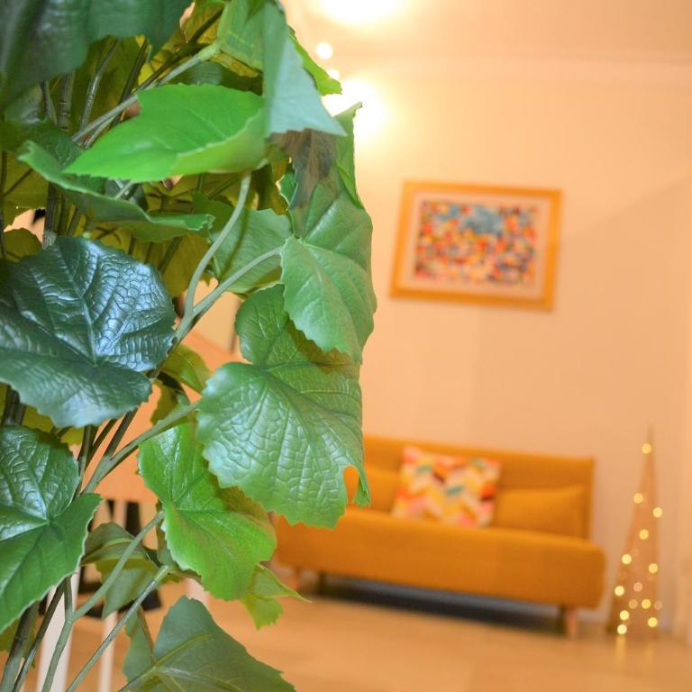 Suite Caronda - One-Bedroom House - 4
