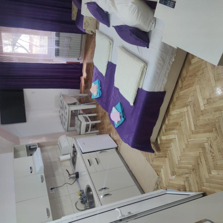 Smeštaj Milenković - Standardni Studio - 3