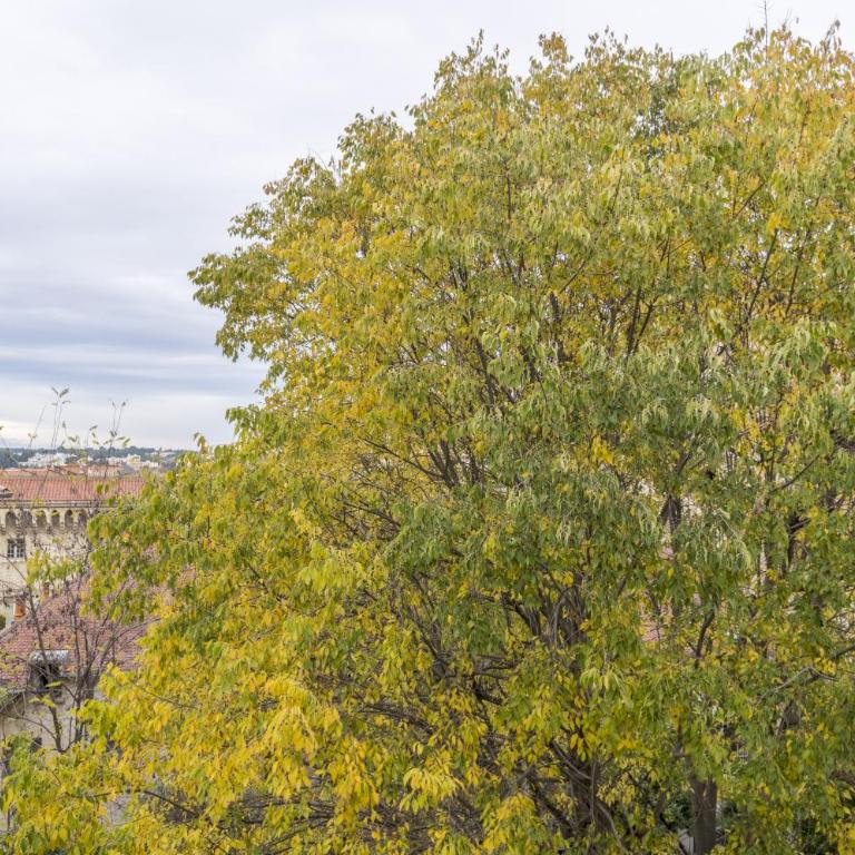 My Hotel Peyrou - Premiere conciergerie - Appartement - Vue sur Jardin - 15