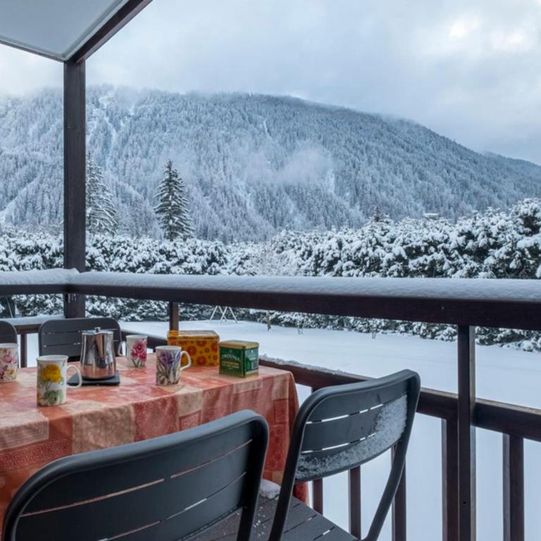 Apartment With Balcony Close To The Ski Slopes - Appartamento - 1