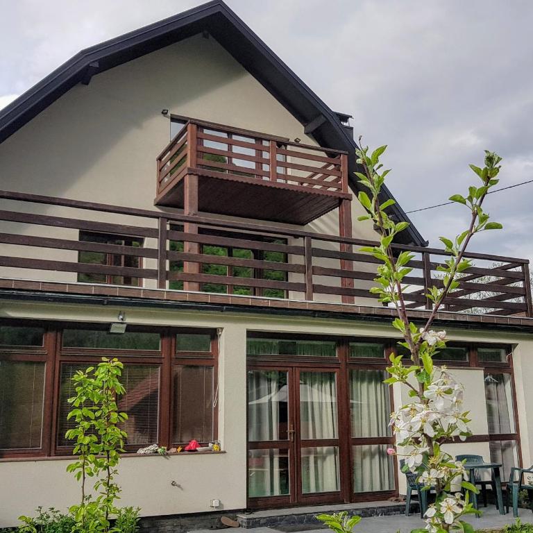 Villa Vrelo Bosne - Deluks Vila - 8