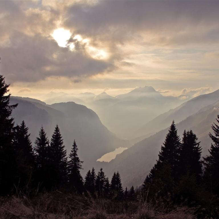 Micro-lodge, Le Petit Nid d'Amour - Kleines Chalet - 77
