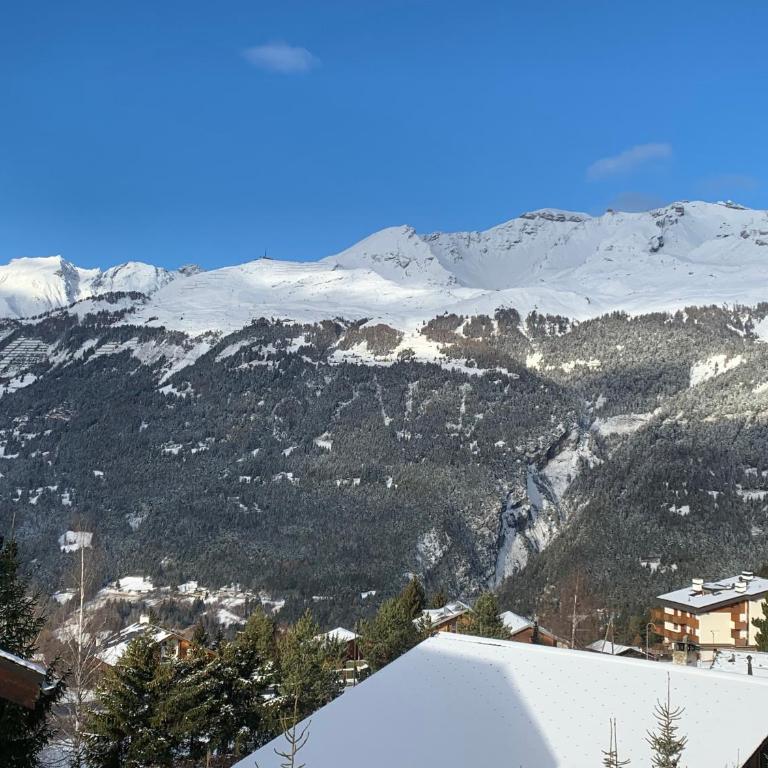 La Jacinthe de Crans - Appartement 2 Chambres - 47