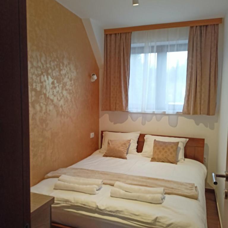 Apartmani Vidatela Kopaonik - Duplex Apartment - 23