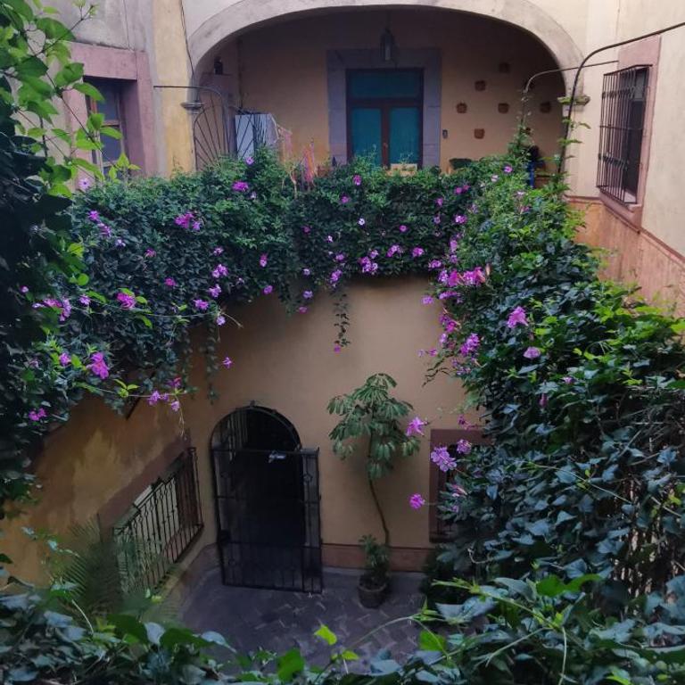 Lavanda Centro Histórico de Querétaro - One-Bedroom Apartment - 13
