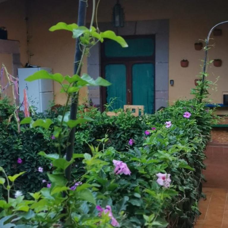 Lavanda Centro Histórico de Querétaro - One-Bedroom Apartment - 15
