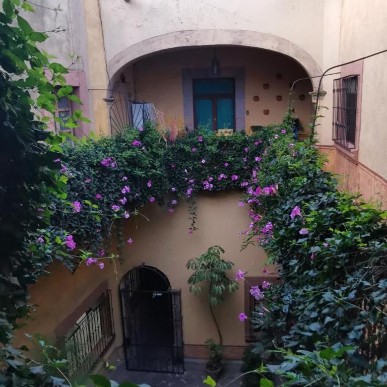 Lavanda Centro Histórico de Querétaro - One-Bedroom Apartment - 19