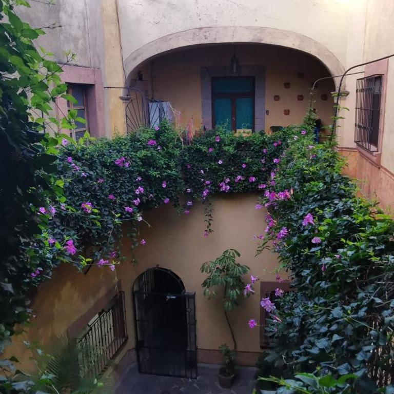 Lavanda Centro Histórico de Querétaro - One-Bedroom Apartment - 22