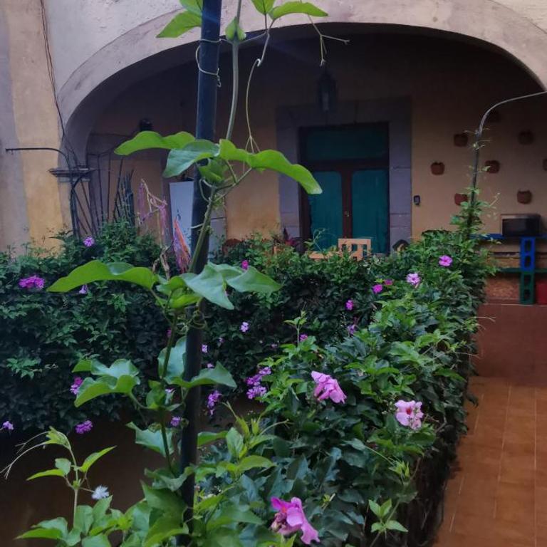 Lavanda Centro Histórico de Querétaro - One-Bedroom Apartment - 33