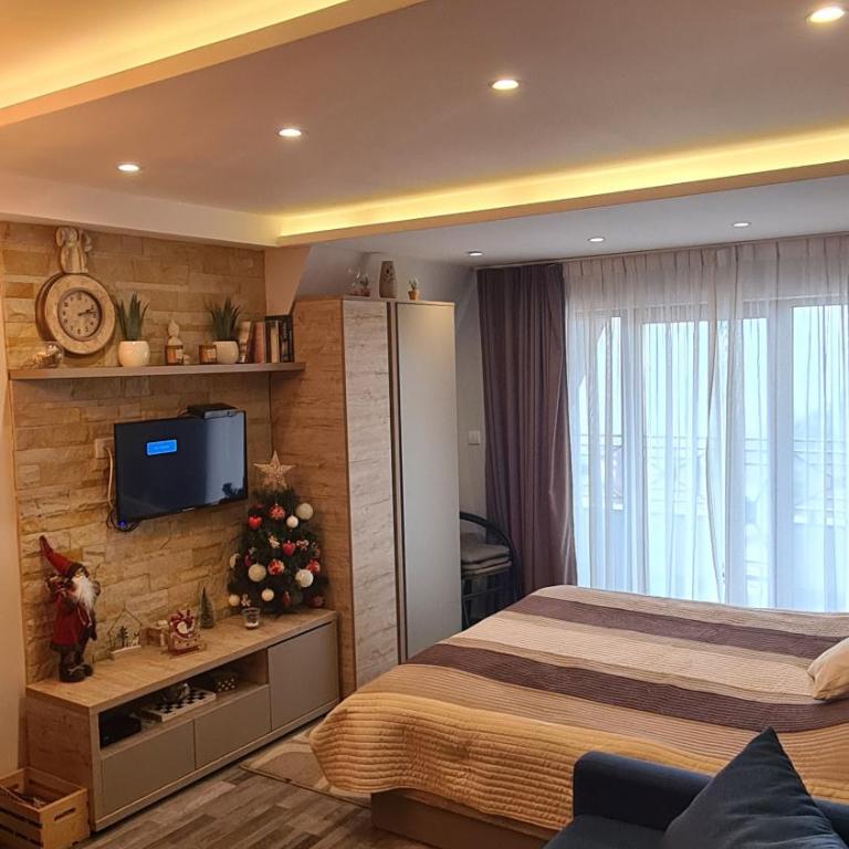 Ogi & Una Premijer 42 - Apartment with Mountain View - 17