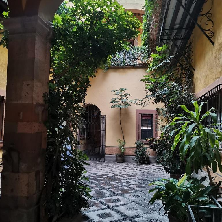 Lavanda Centro Histórico de Querétaro - One-Bedroom Apartment - 45