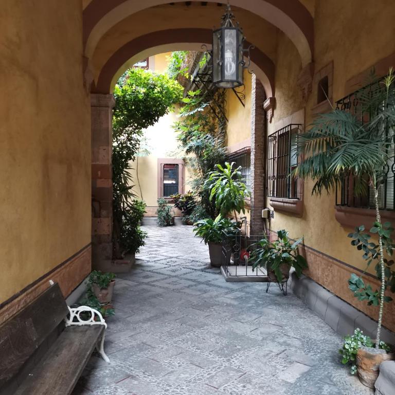 Lavanda Centro Histórico de Querétaro - One-Bedroom Apartment - 43