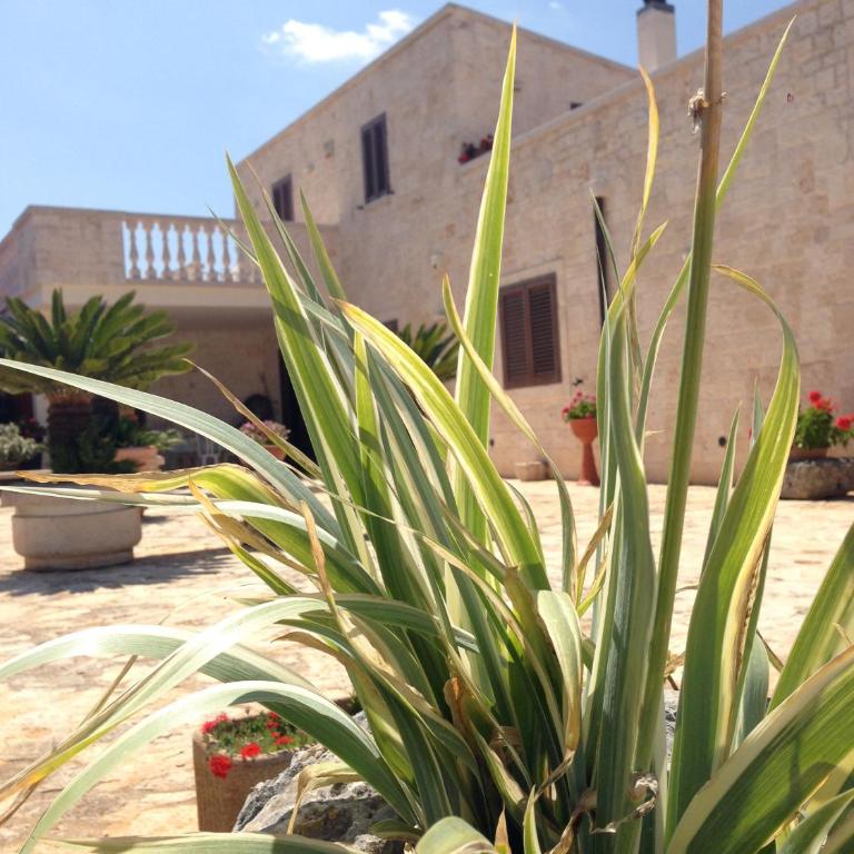 B&B Villa Grassi - Appartamento con 1 Camera da Letto - 40