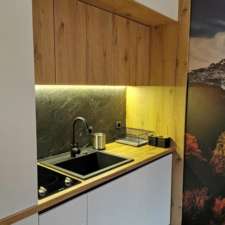 Apartmani TIM & SPA CENTAR - Studio with Terrace - 23