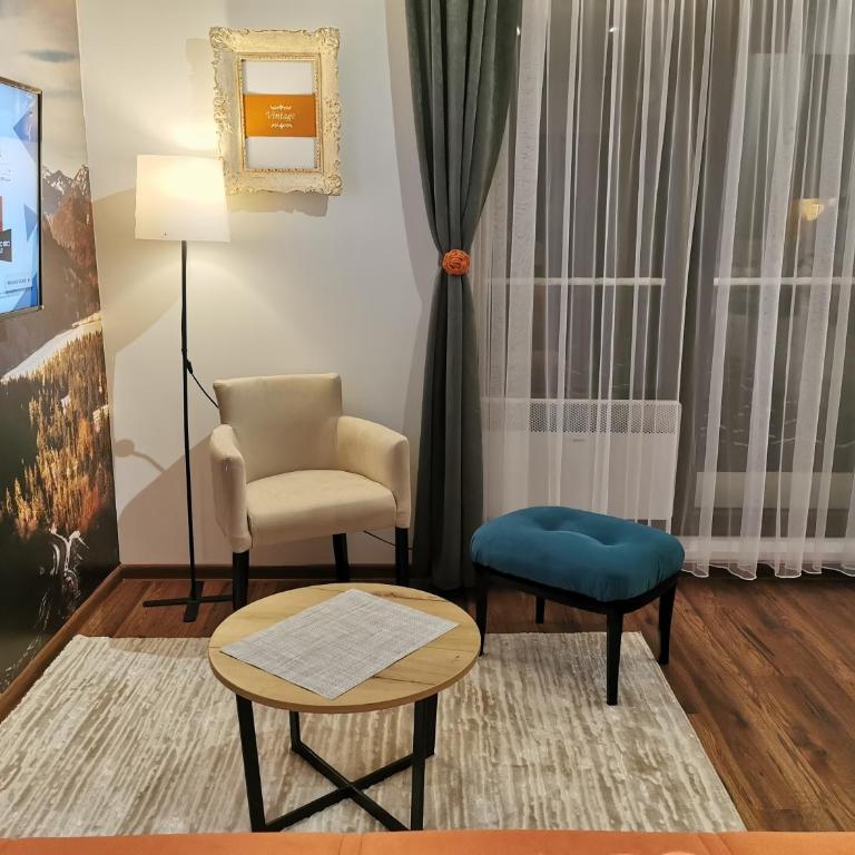 Apartmani TIM & SPA CENTAR - Studio with Terrace - 6
