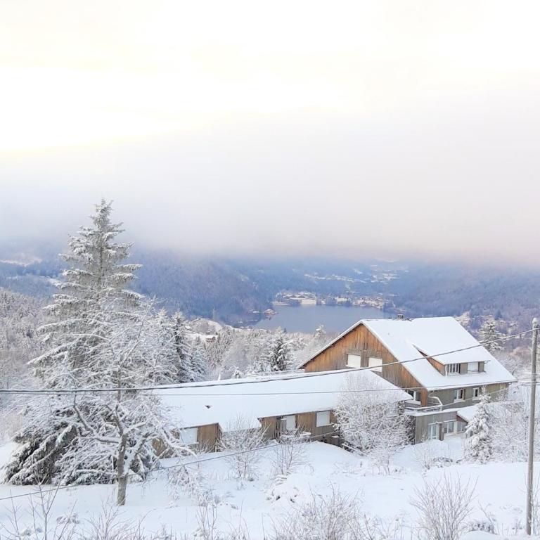 Les Jonquilles: gîte 8/10 pers. avec vue imprenable! - Appartement avec Vue sur la Montagne - 7