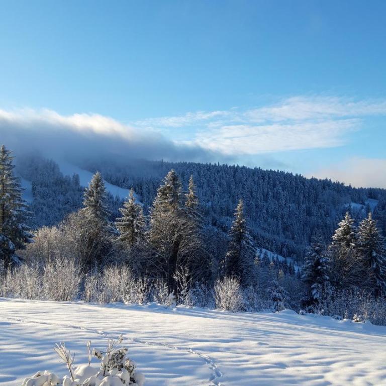 Les Jonquilles: gîte 8/10 pers. avec vue imprenable! - Appartement avec Vue sur la Montagne - 15