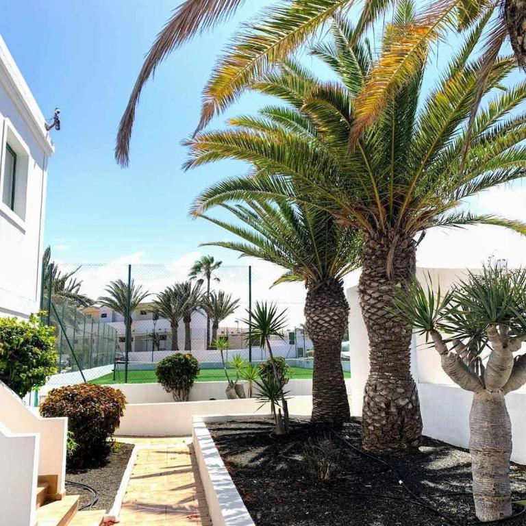 Sinfonia Corralejo iRent Fuerteventura - Apartamento con vistas a la piscina - 52