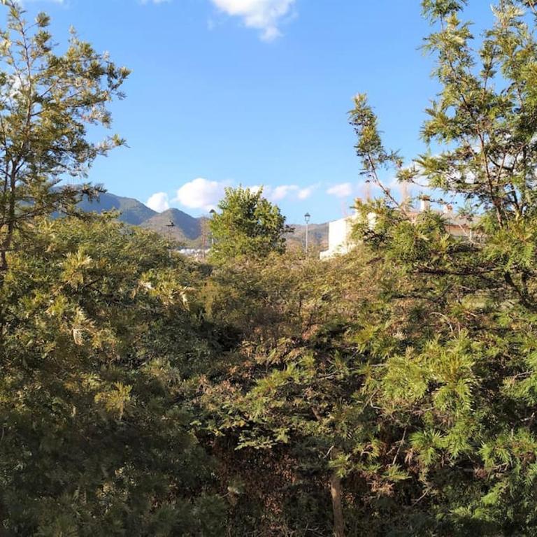 Brisa Quebrada Beach, 2 Bed, Sea Views, Pool - Two-Bedroom Apartment - 10