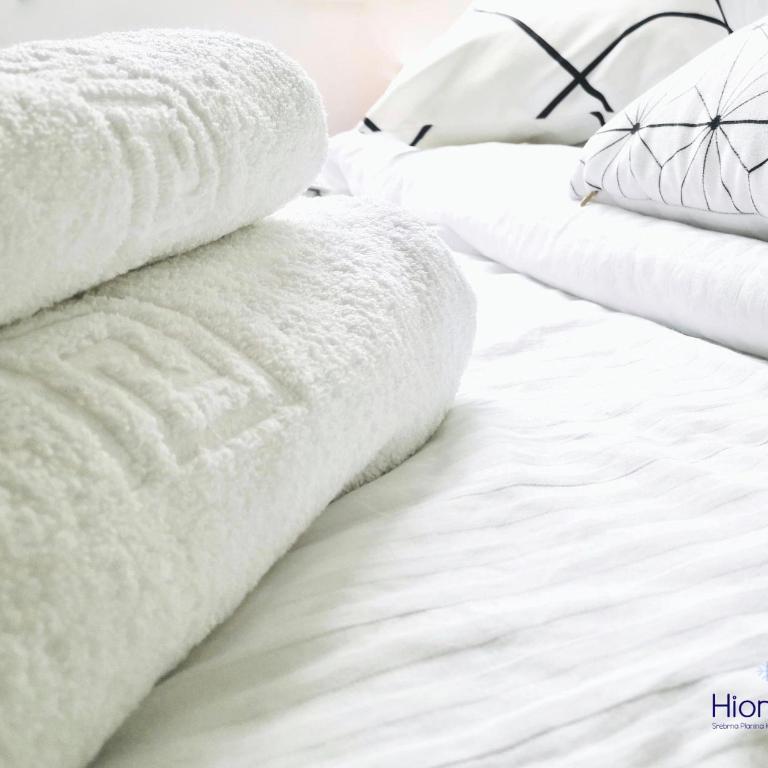 Hiona Apartment - One-Bedroom Apartment - 62