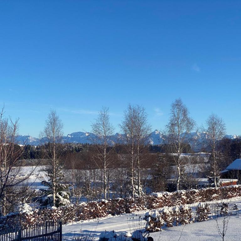 Ferienwohnung mit eigenem Garten und Bergblick - Appartement 1 Chambre - 19