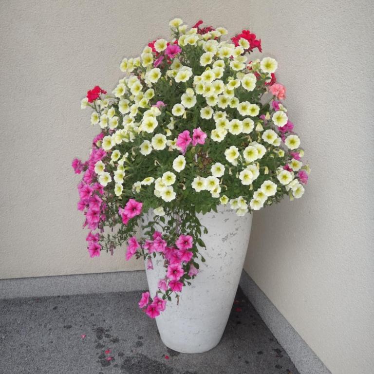 Appartement Fritzenwallner - Apartment mit Gartenblick - 6