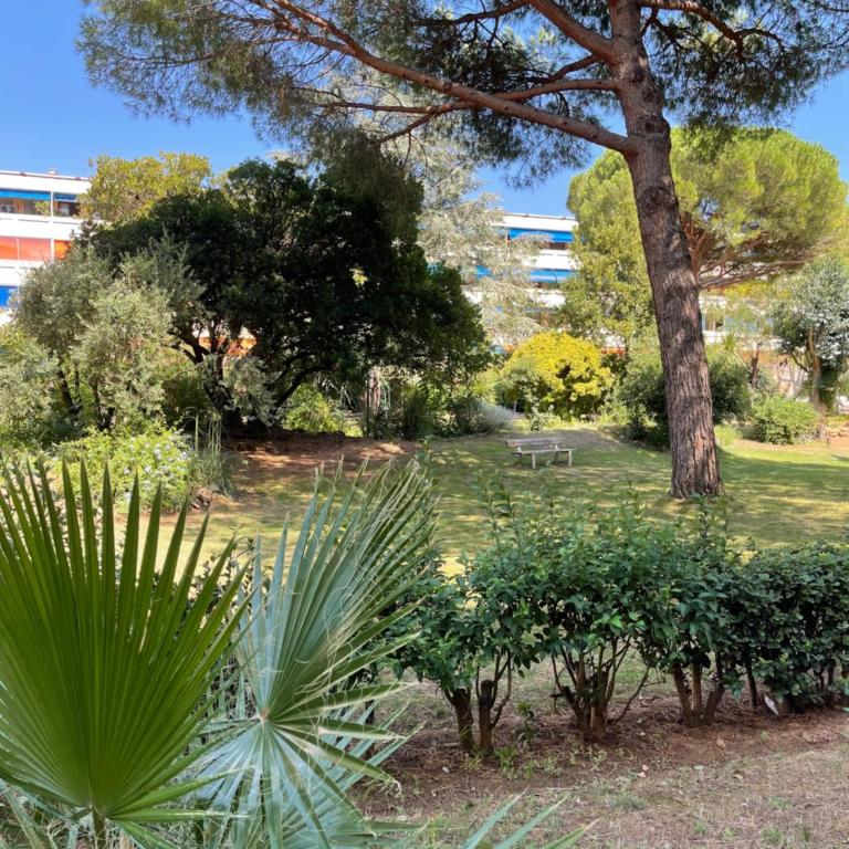 Frejus Plage - 50m2 au calme, tout à pieds - Apartamento de 1 dormitorio - 6