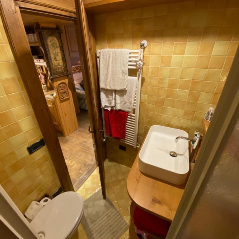 Incantevole monolocale in centro a Cortina. - Appartamento con 1 Camera da Letto - 12