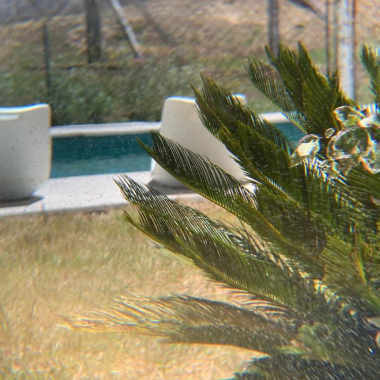 Complejo Fika - Apartamento de 1 dormitorio - 32