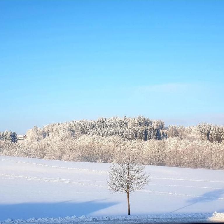 Ferienwohnung im Allgäu - Apartment mit 2 Schlafzimmern - 40