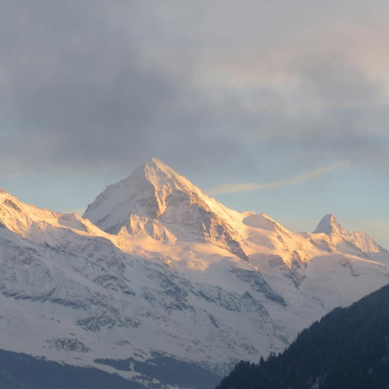 Le CHEMO - Chalet - 7