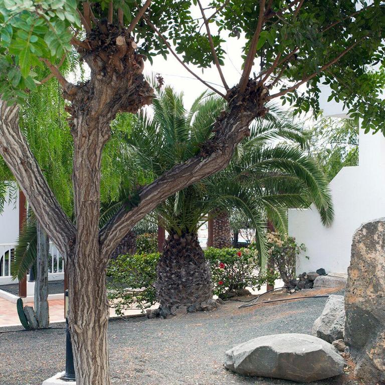 Vivienda Vacacional Erido - Apartamento de 1 dormitorio - 14