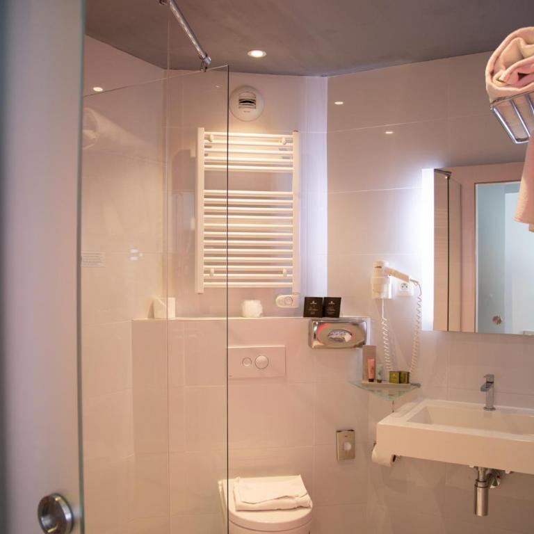 Colmar Hotel - Chambre Double Privilège - 10